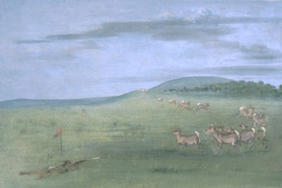 Antilopskytte, med lockbete av George Catlin