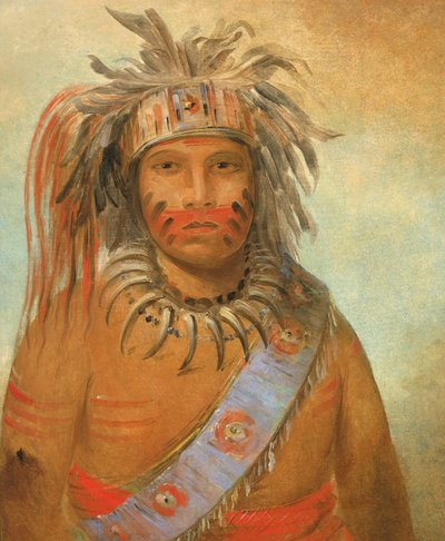 Au-nim-muck-kwa-um, Tempest Bird, 1845. av George Catlin