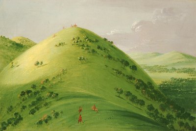 Vackra präriebloss, övre Mississippi av George Catlin