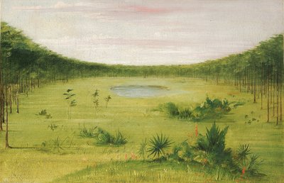 Vacker savann i tallskogen i Florida av George Catlin