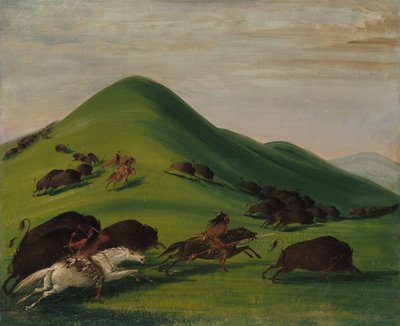 Buffalo Chase över Prairie Bluffs av George Catlin