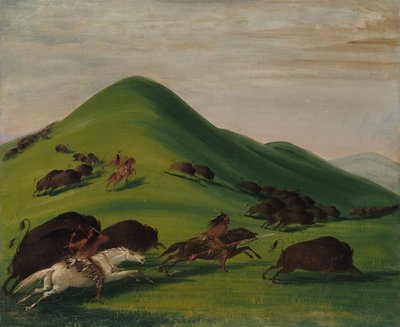 Buffalo Chase over Prairie Bluffs, 1832-1833. av George Catlin