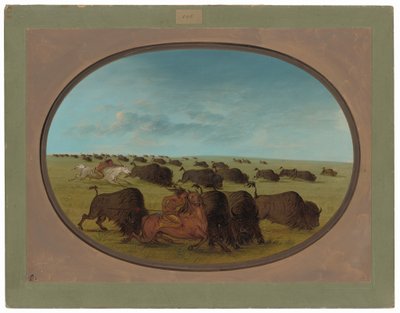 Buffalo Chase, med olyckor av George Catlin