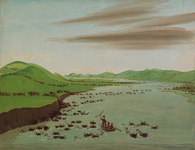 Buffelhjordar som korsar övre Missouri, 1832. av George Catlin