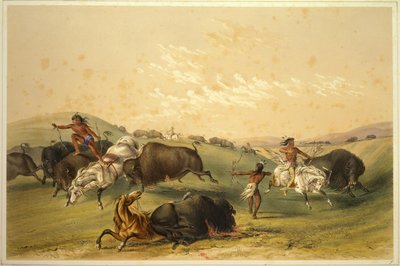 Buffeljakt: En talrik grupp av George Catlin
