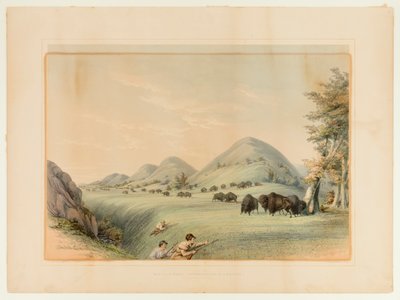 Buffeljakt; Att närma sig i en ravin - nr 11 av George Catlin