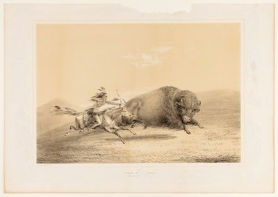 Buffeljakt, Chase... nr. 5 av George Catlin