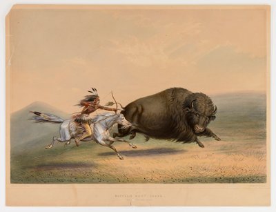 Buffeljakt, Chase... nr. 5 av George Catlin