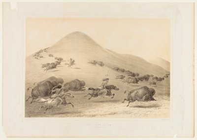 Buffalo Hunt, Chase - nr 6 av George Catlin