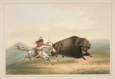 Buffalo Hunt, Chase, pl. 5 från North American Indian Portfolio av George Catlin