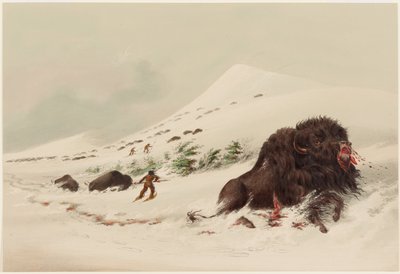 Bisonjakt, döende bisonstjur i en snödriva av George Catlin