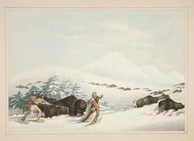 Buffeljakt, på snöskor, pl. 15 från North American Indian Portfolio av George Catlin