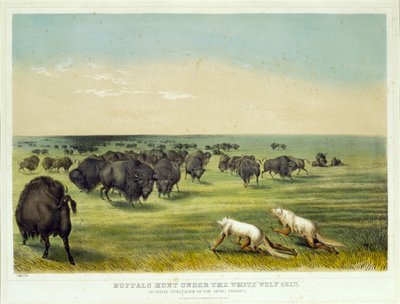 Buffeljakt under den vita vargens skinn av George Catlin