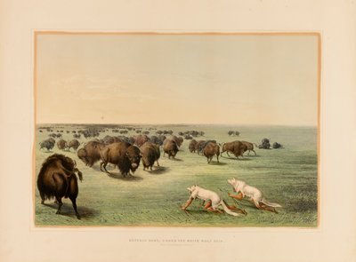 Buffeljakt under det vita vargskinnet - nr 13 av George Catlin