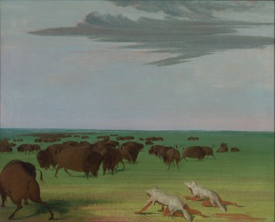 Buffeljakt under vargskinnsmasken, 1832-1833. av George Catlin