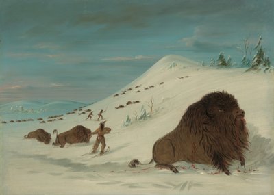 Buffalo Lancing in the Snow Drifts - Sioux, 18611869. av George Catlin