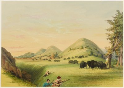Buffeljakt, närmande i en ravin av George Catlin
