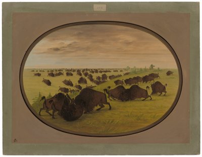 Tjurfäktning av George Catlin