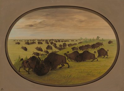 Tjurfäktning, 18611869. av George Catlin