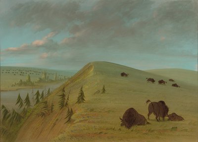 Cedar Bluffs, 18611869. av George Catlin