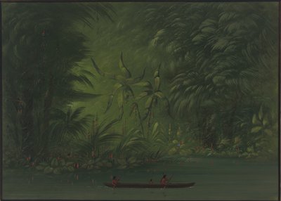 Ingången till en lagun, Amazonas kust, 18541869. av George Catlin