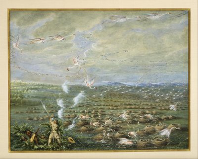 Flamingojakt i Sydamerika av George Catlin