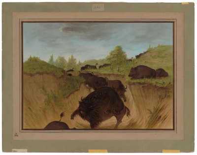 Grizzlybjörnar attackerar buffel av George Catlin