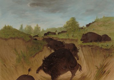 Grizzlybjörnar attackerar buffel, 18611869. av George Catlin