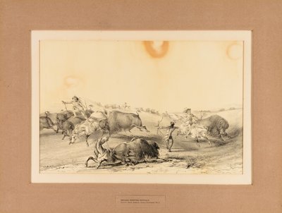 Indianer jagar bufflar - nr 7 av George Catlin