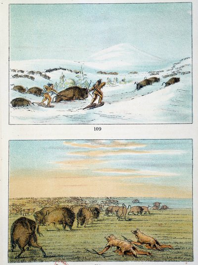 indianer i Amerika. Bisonjakt: Indianer bär snöskor för att jaga på vintern och täcka sig med vargskinn på sommaren. Illustration av George Catlin (1794-1872) av George Catlin