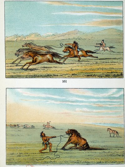 Indians of America: hur man fångar vilda hästar. Illustration av George Catlin (1794-1872) av George Catlin