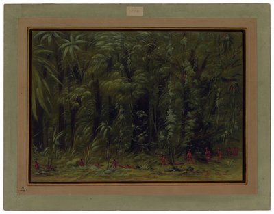Interiör av en Amazonskog - Zurumati av George Catlin