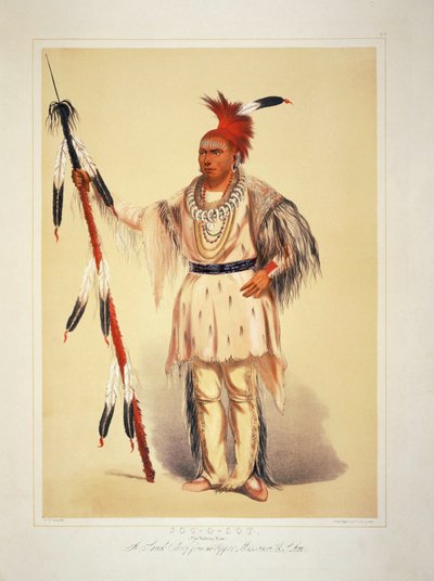  av George Catlin