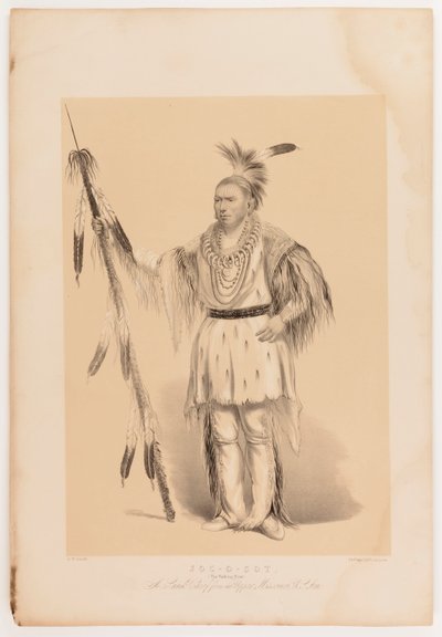 Joc-o-sot, den vandrande björnen av George Catlin