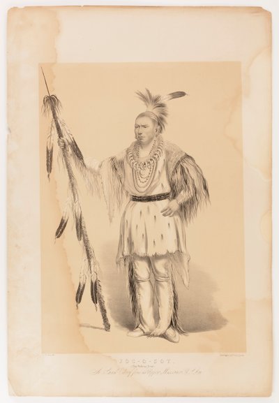Joc-o-sot, den vandrande björnen av George Catlin