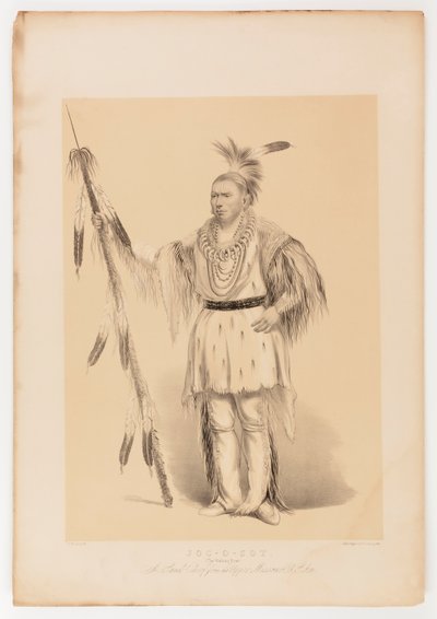 Joc-o-sot, den vandrande björnen av George Catlin