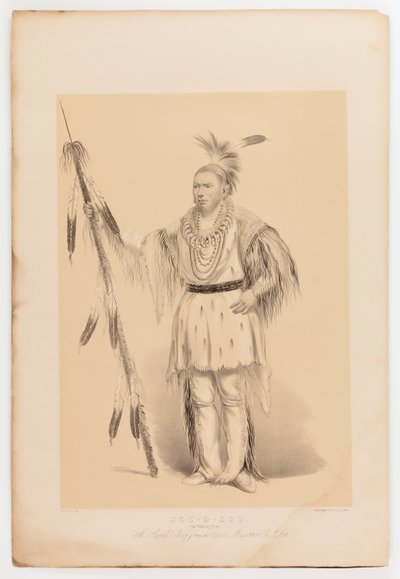 Joc-o-sot, den vandrande björnen av George Catlin