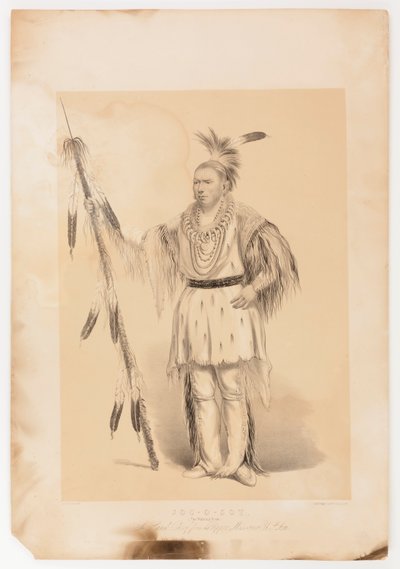 Joc-o-sot, den vandrande björnen av George Catlin