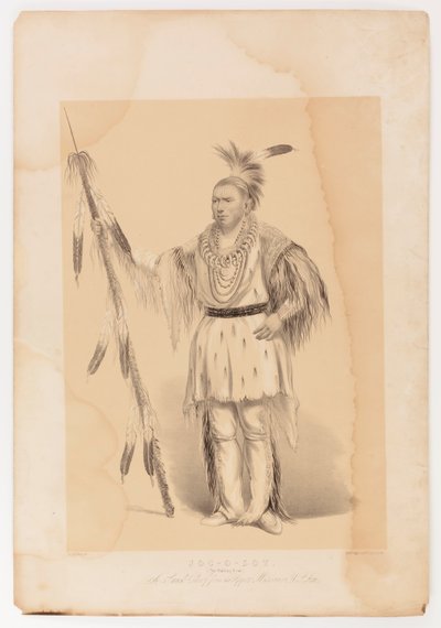 Joc-o-sot, den vandrande björnen av George Catlin