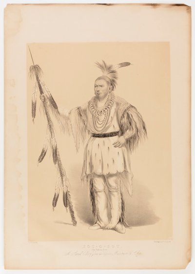 Joc-o-sot, den vandrande björnen av George Catlin