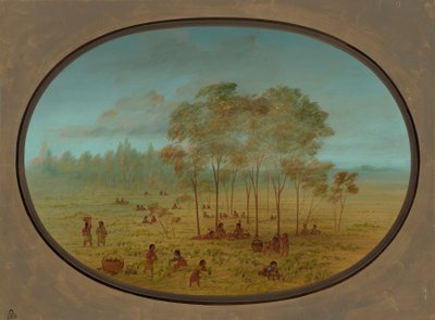 Kiowa-indianer samlar vilda druvor, 18611869. av George Catlin