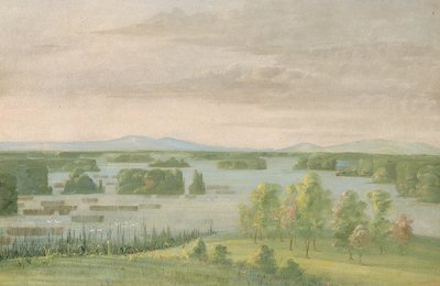 Lac du Cygne (Svanesjön), nära Coteau des Prairies av George Catlin