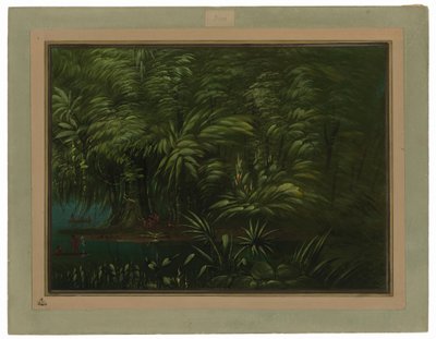 Frodig skog på Amazonas strand av George Catlin