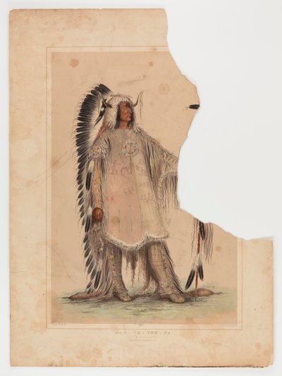 Mah-to-toh-pa, mandanhövdingen av George Catlin