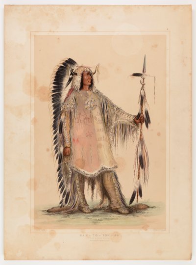 Mah-to-toh-pa, mandanhövdingen av George Catlin