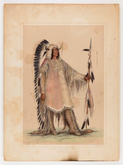 Mah-to-toh-pa, mandanhövdingen av George Catlin