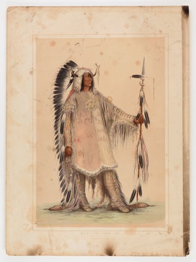 Mah-to-toh-pa, mandanhövdingen av George Catlin