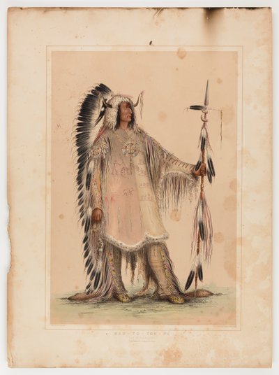 Mah-to-toh-pa, mandanernas hövding av George Catlin