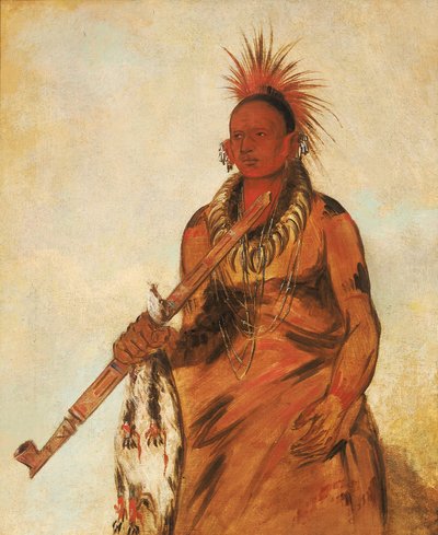 No-o-mún-nee, Går i regnet, en krigare av George Catlin