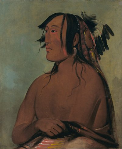 Pa-ris-ka-roó-pa, Två kråkor, den yngre av George Catlin